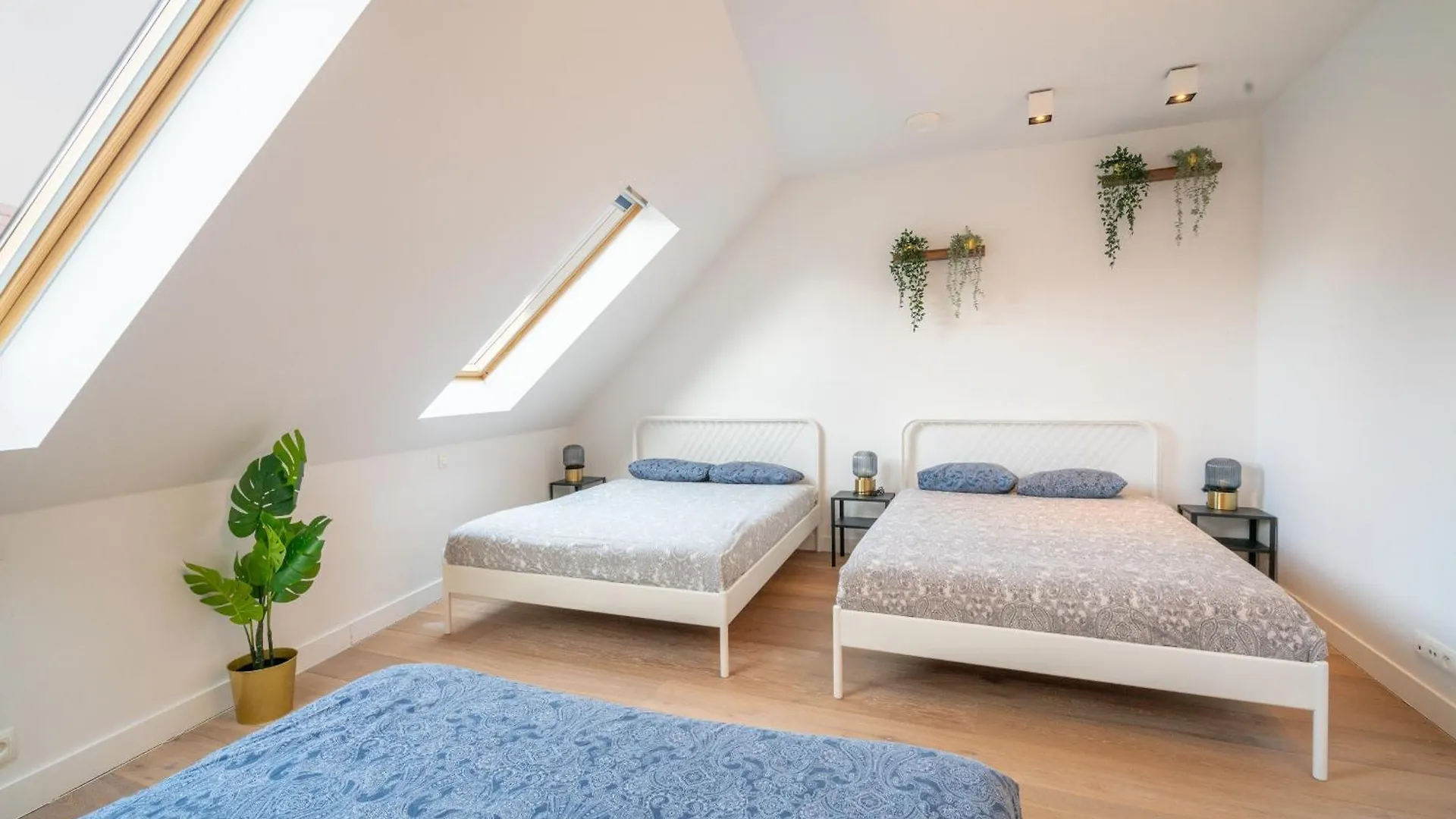Apartment Light House. Heart Of 安特卫普