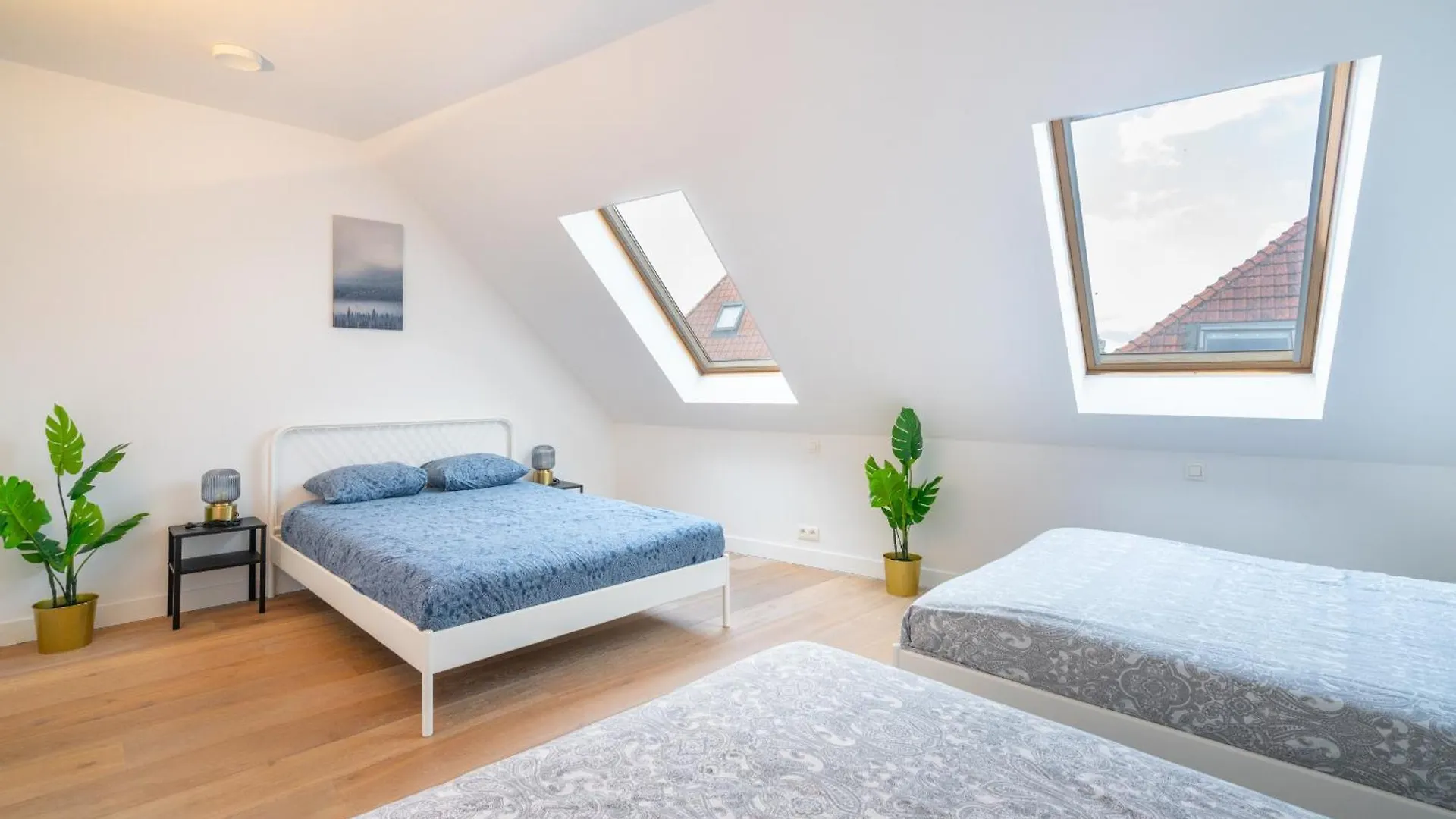 Apartment Light House. Heart Of 安特卫普 比利时